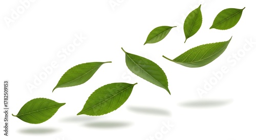 Several vivid green leaves floating in a cluster formation against a white backdrop.