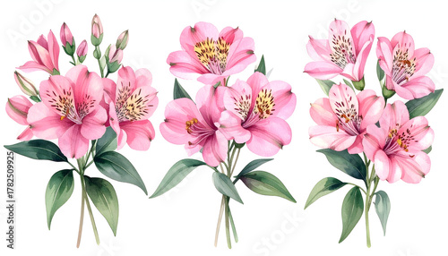 Watercolor Floral Harmony in Bloom: An elegant composition of delicate pink blossoms, artfully arranged to celebrate the beauty of nature. The image is filled with the vivid essence of spring.