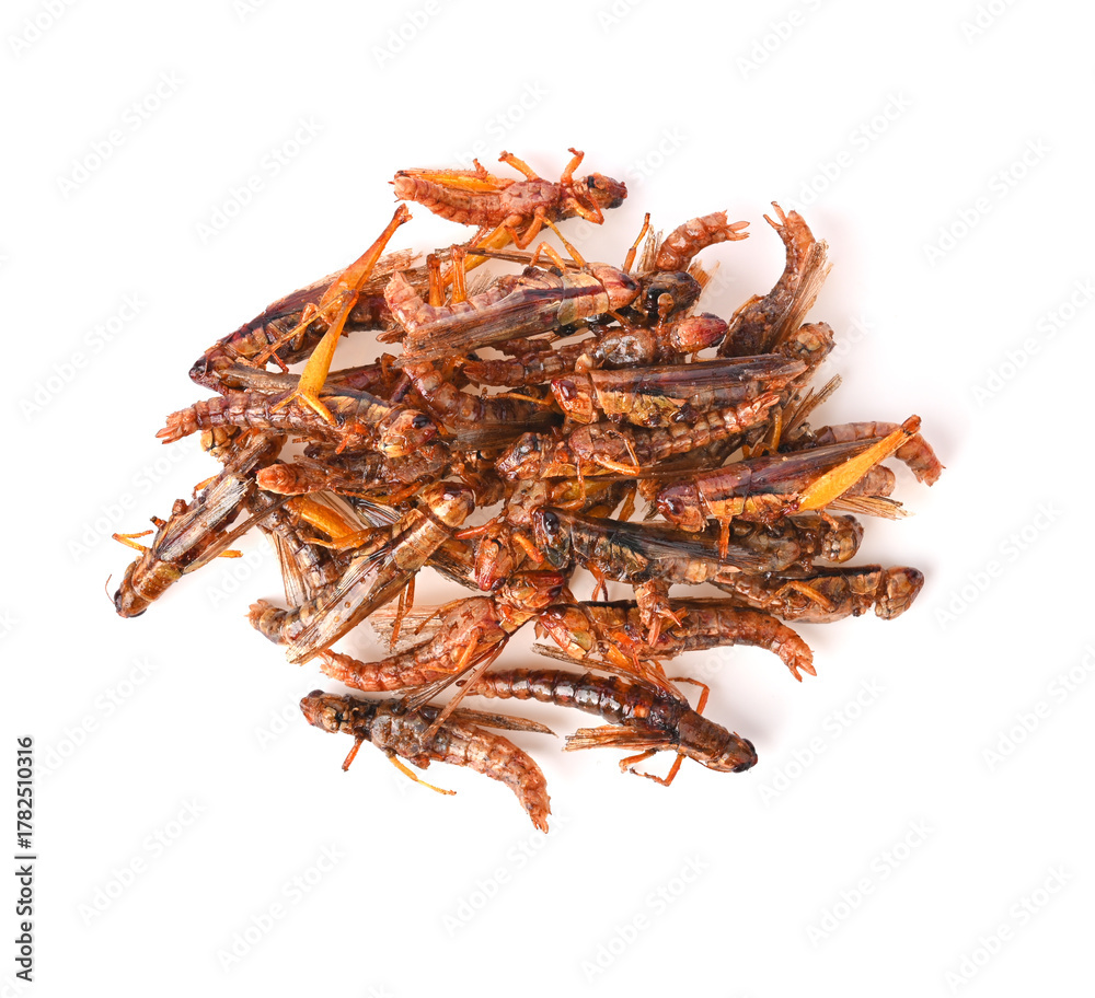 Obraz premium Heap of fried grasshopper or belalang gorengisolated on white background top view