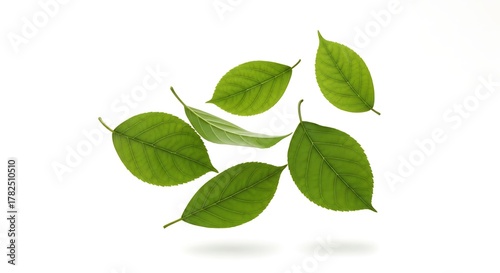 Scattered arrangement of vibrant green leaves floating on a seamless white backdrop.