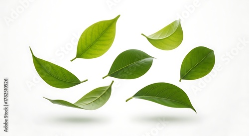 Seven vibrant green leaves artfully float against a pristine white backdrop, showing organic beauty.