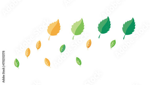 Multiple different leaf silhouettes drifting downward in gentle motion, representing seasonal change and beauty