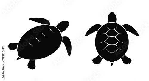 Two black turtle silhouettes shown from above and side views