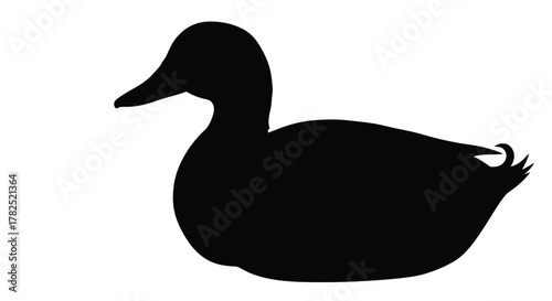 A striking black silhouette of a mallard duck in profile view