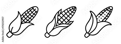 Corn vector illustration of fresh corn on the cob drawing for food design and agricultural use