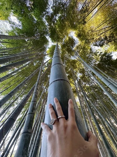 My hand reaching toward bamboo canopy in Arashiyama Bamboo Grove, Kyoto, Japan