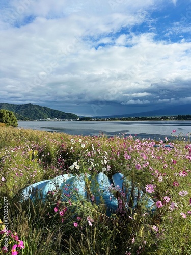 Abandoned boats in wildflowers by Lake Kawaguchiko, Japan