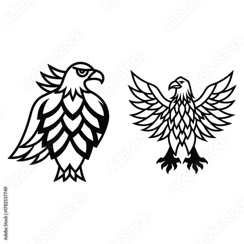 Colorful Parrot Line Art