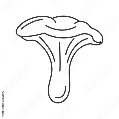 An outline drawing of a chanterelle mushroom with a wavy cap
