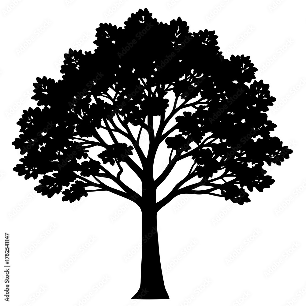 Obraz premium silhouette of tree on white background