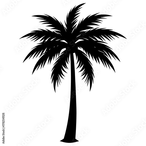 coconut tree silhouette on white background