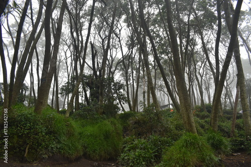 Photos of climbing & the natural beauty of Mount Slamet, Mount Slamet is the highest mountain.