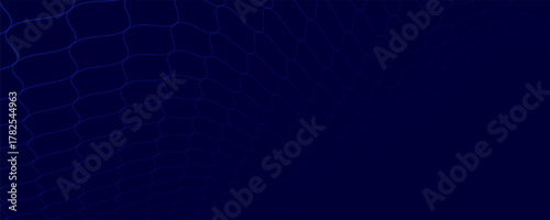 Abstract net background blue for sports, Mesh texture for fishing nets. Seamless pattern for sportswear or soccer goal, volleyball net, basketball hoop, hockey, athletics. Eps10