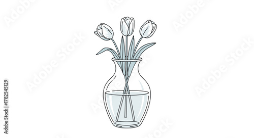 Serene minimalist line art depiction of three elegant tulips gracefully arranged in a clear glass vase filled with fresh water on a white background.