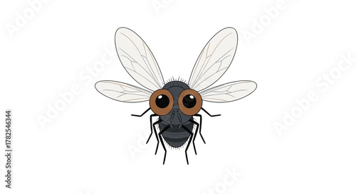 Detailed cartoon fly with large brown compound eyes and delicate translucent wings, accurately capturing the common insect's appearance in a friendly, simplified style.