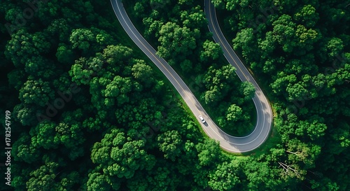 Winding road through lush green forest, car driving, top-down shot