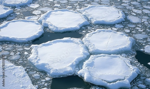 Large floating ice sheets and smaller ice fragments drifting on a cold, icy water surface in a polar environment
