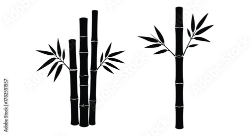 Simple black and white illustration of bamboo stalks with delicate leaves