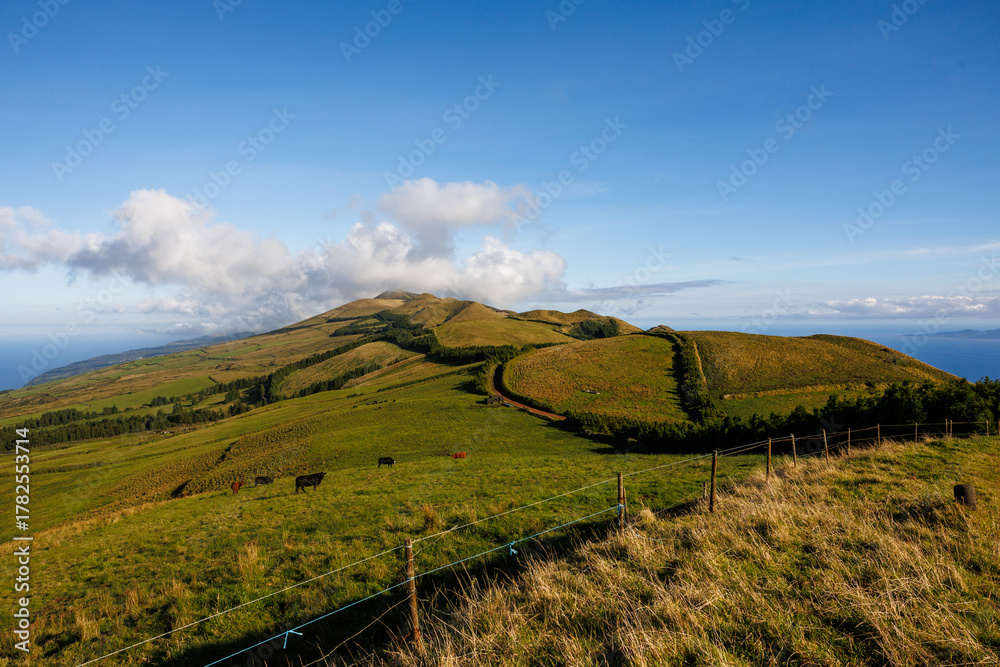 Naklejka premium São Jorge island landscapes, Azores archipelago, travel and explore Portugal.
