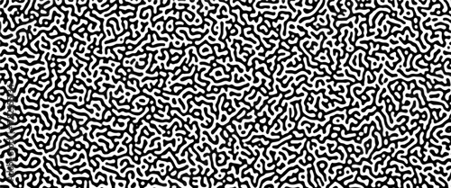 Turing reaction diffusion monochrome seamless pattern with chaotic motion .Linear design with biological shapes. Organic lines in memphis. abstract turing organic wallpaper background .	