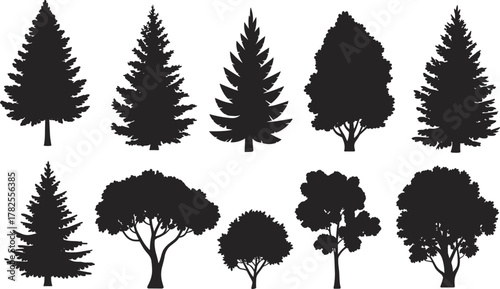 Flat vector silhouette set of coniferous and deciduous trees, forest elements, botanical illustration, nature landscape, foliage design, black graphic