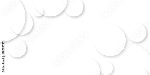 Abstract background with circle white abstract geometric background with soft light white paper circles in design .Gray abstract. Modern design background for report and project presentation template.