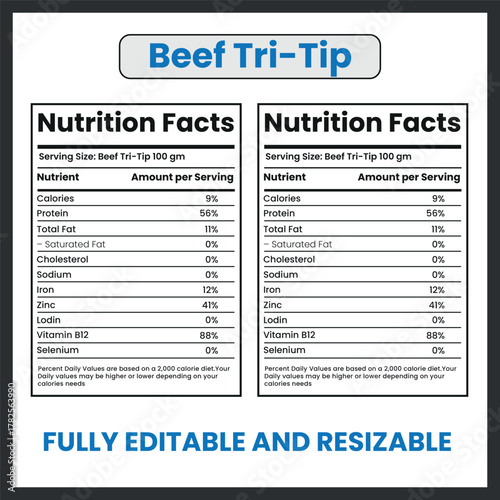 Beef Tri-Tip Grilled Steak Illustration