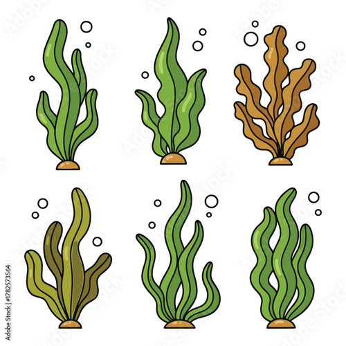 Collection of colorful cartoon seaweed and kelp plants with bubbles in a simple illustration style