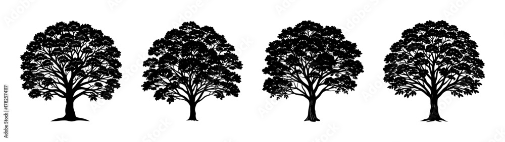 Obraz premium Black and white tree silhouette vector illustration, forest landscape design element, nature trees art