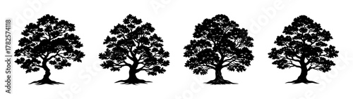 Silhouette tree vector collection evergreen trees forest design nature illustration set isolated 90