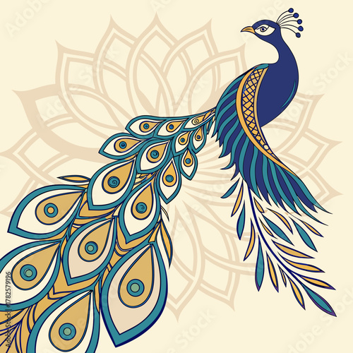 Stylized peacock illustration with decorative background and detailed feathering art