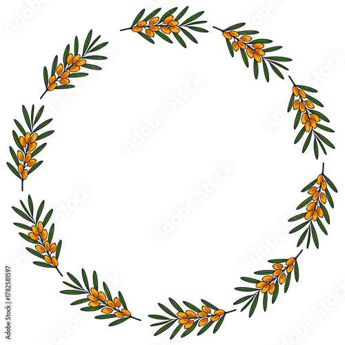 A circular vector frame composed of sea buckthorn branches with vibrant orange berries and dark green leaves, set against a clean white background.