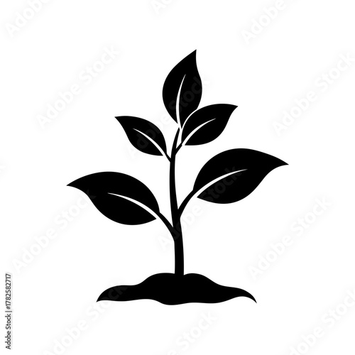 Fresh Plant Sprout Silhouette Growth Nature Environment Green Life Design