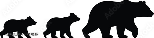 Three silhouettes of animals showing growth and size progression