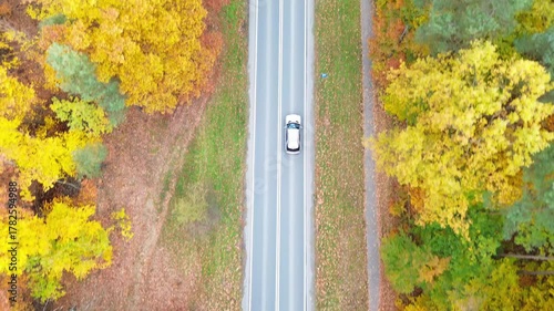 Cars riding along rural road surrounded by vibrant colorful autumn forest showcasing the beauty of nature. Aerial view of autos cruising along country route. Vehicles driving at beautiful fall season