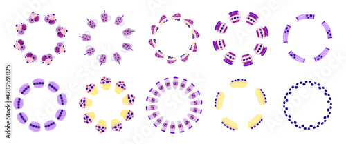 Set of cute round wreaths with blueberry desserts and drinks isolated on white background.