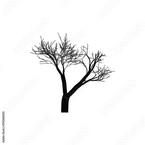 Bare tree silhouette isolated on white background artistic winter graphic
