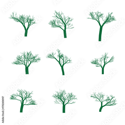 Collection of green vector trees without leaves on white background