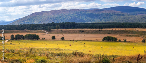 romantische Tallandschaft