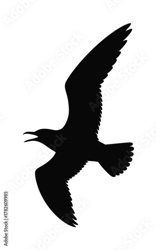Silhouette of a seagull in flight with open beak