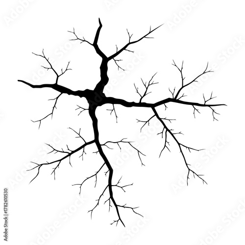 Elegant black and white tree branch silhouette for creative design projects and nature-inspired themes
