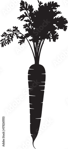Fresh carrot with green leaves silhouette on white background