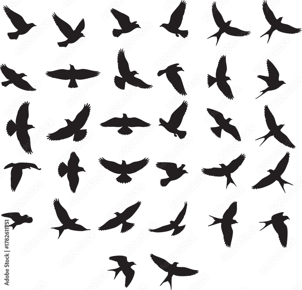 Fototapeta premium Flying Birds Silhouette Sheet (20 unique)