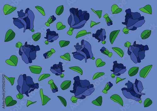 2615 butterfly pea flower on purple background_673512x476224