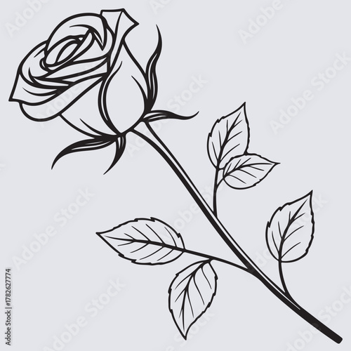 minimal line art single rose silhouette vector art illustration, black and white rose background