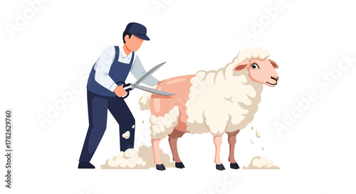 Shearing Sheep Farmer Using Scissors to Harvest Wool