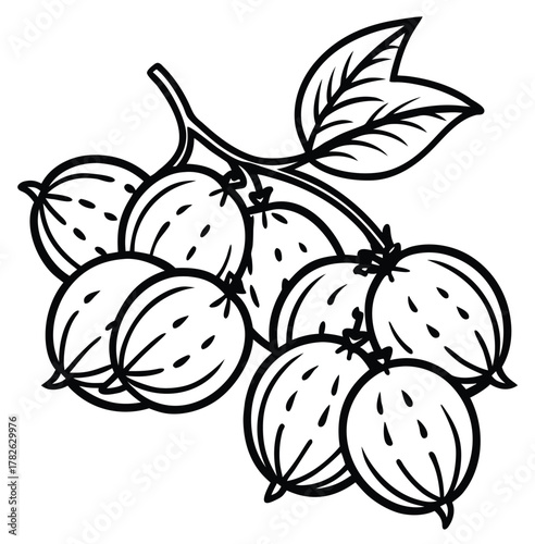 fruits and berries vector illustration with apple pear orange and gooseberry