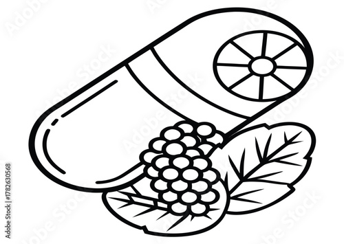 Capsule Pill with Plant Extract Natural Supplement Icon for Health & Wellness, Outlined Vector Illustration