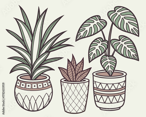 Three potted houseplants in a simple style