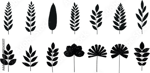 Collection of diverse botanical silhouettes of leaves and plant elements in black and white